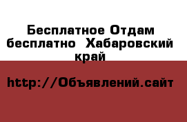 Бесплатное Отдам бесплатно. Хабаровский край